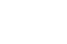 Manifest Tribe